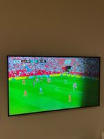 Samsung the frame 55”