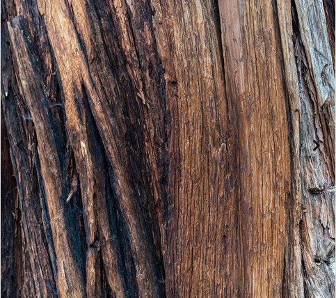 Chogan Profumi & Eau de Toilette: Dark Nectar - Herrenparfüm – Nuovo e nell'imballaggio originale da Baar venduto da cyntia2304 1