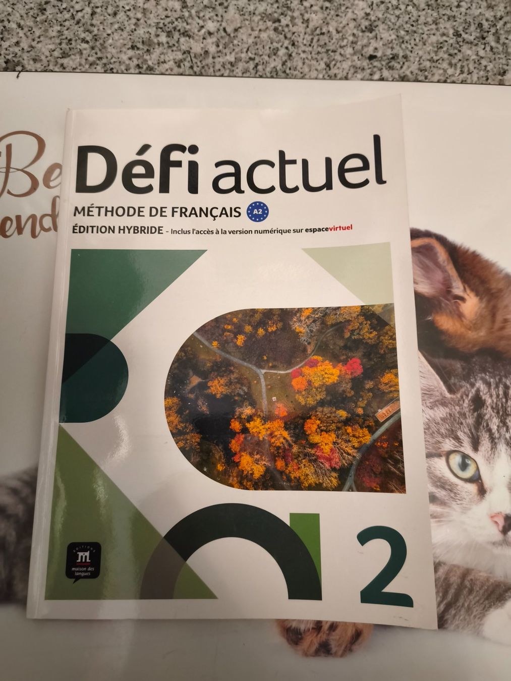 Libri: Défi actuel 2 – Nuovo (secondo la descrizione) da Starrkirch-Wil venduto da wae_xd2j
