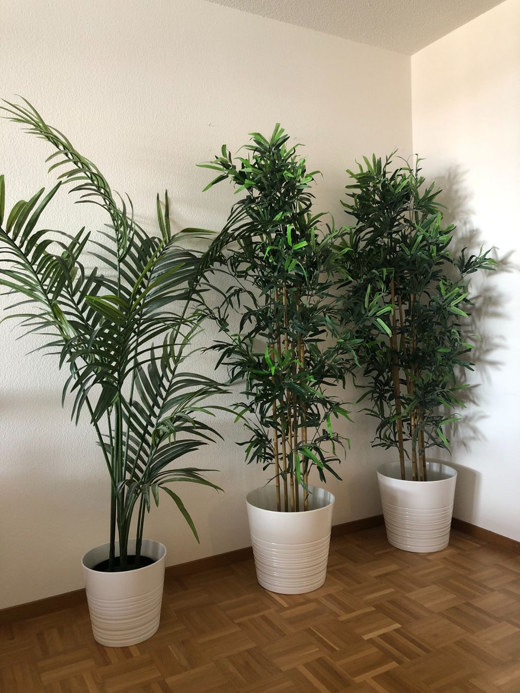 Plantes & graines: 3 Kunstpflanzen inkl. Töpfe IKEA – D'occasion à Zürich par moerday