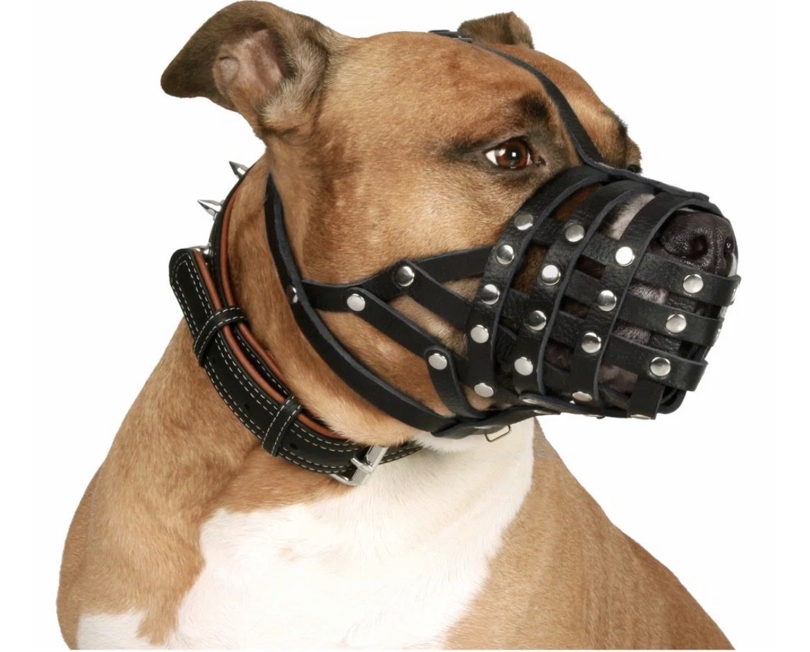 Guinzagli & Collari: Maulkorb für Hunde – Nuovo e nell'imballaggio originale da Schmitten FR venduto da MrsKingKerosin 3