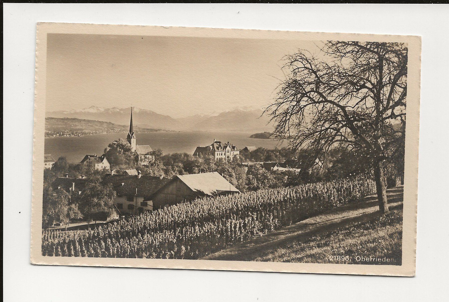 Cartoline postali: AK ca.1925  Oberrieden Zürich – Usato da Greifensee venduto da 315WDO