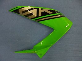 Kawasaki ZX-6R / 2016 Seitenschale links