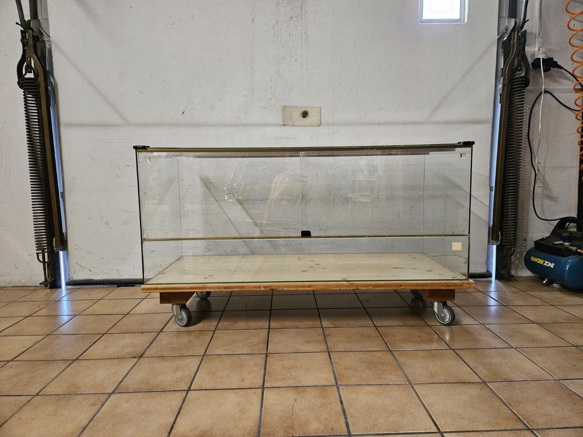 Terrario: Glas-Terrarium für Hamster oder Rennmäuse  – Usato da Wolfhausen venduto da FamB