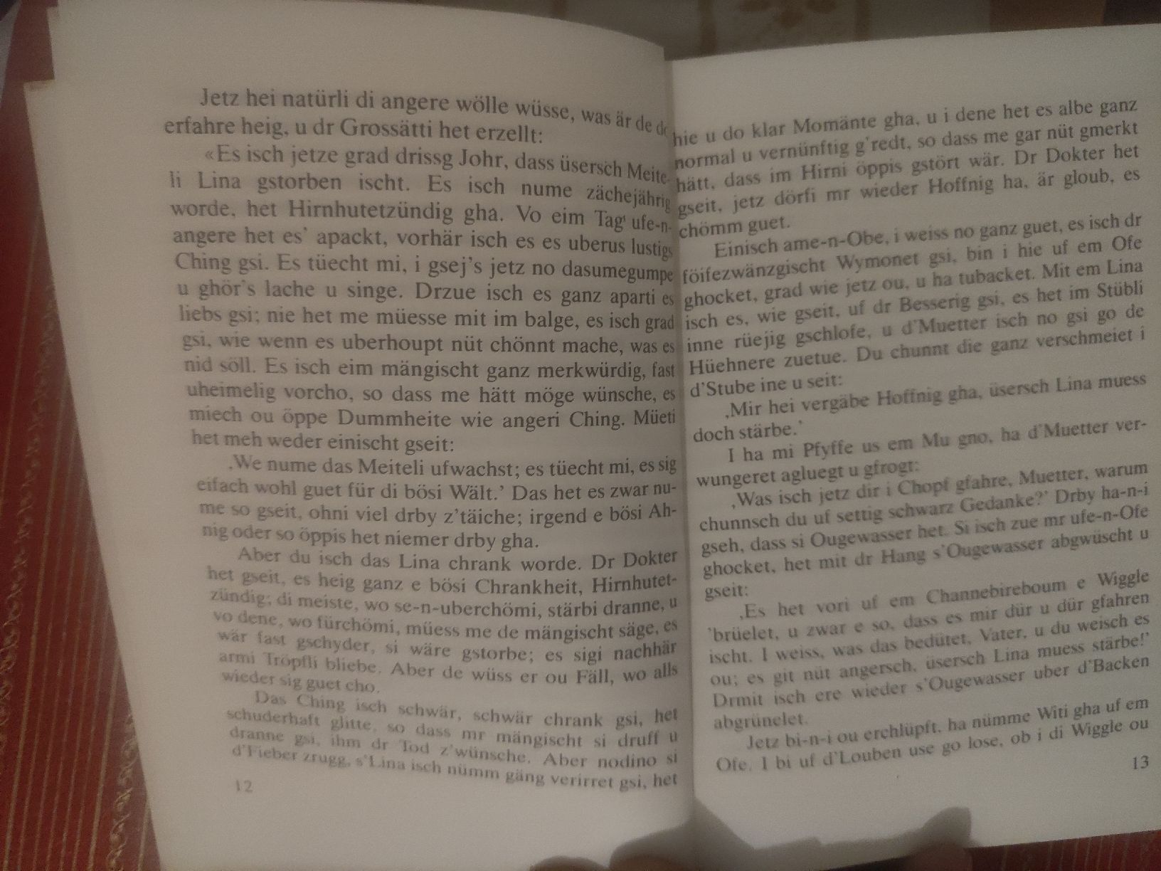 Libri: Hans Steffen Buch: Es git no Sache änedra – Usato da Gossau SG venduto da mog_2q7f 5