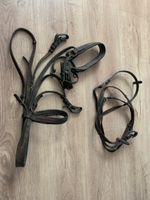 Brides cuir brun pour cheval, très anciennes