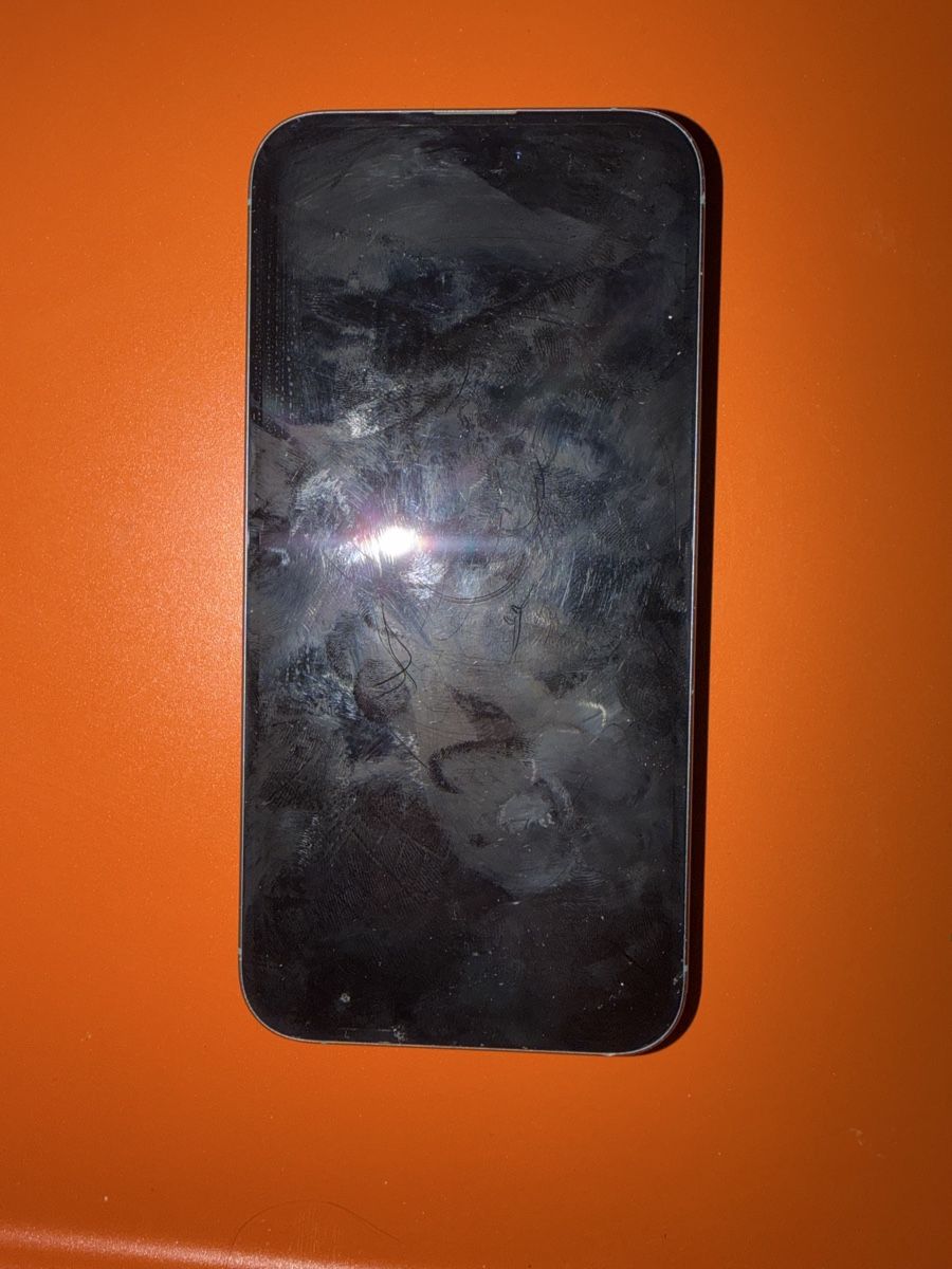 Apple Telefoni cellulari / Smartphones: Iphone 16 plus 256g – Usato da Zürich venduto da Natarrais 1