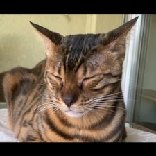 Profile image of mascha02