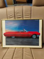 Ford Thunderbird