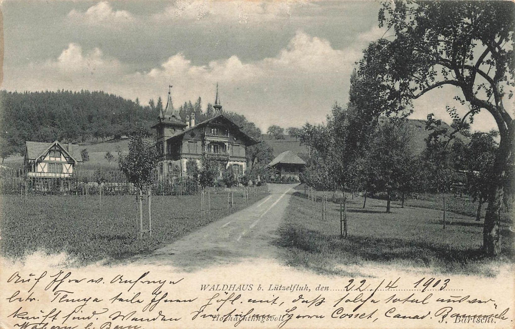 Cartoline postali: Waldhaus b. Lützelfluh 1903 – Usato da Schwyz venduto da Seffi56