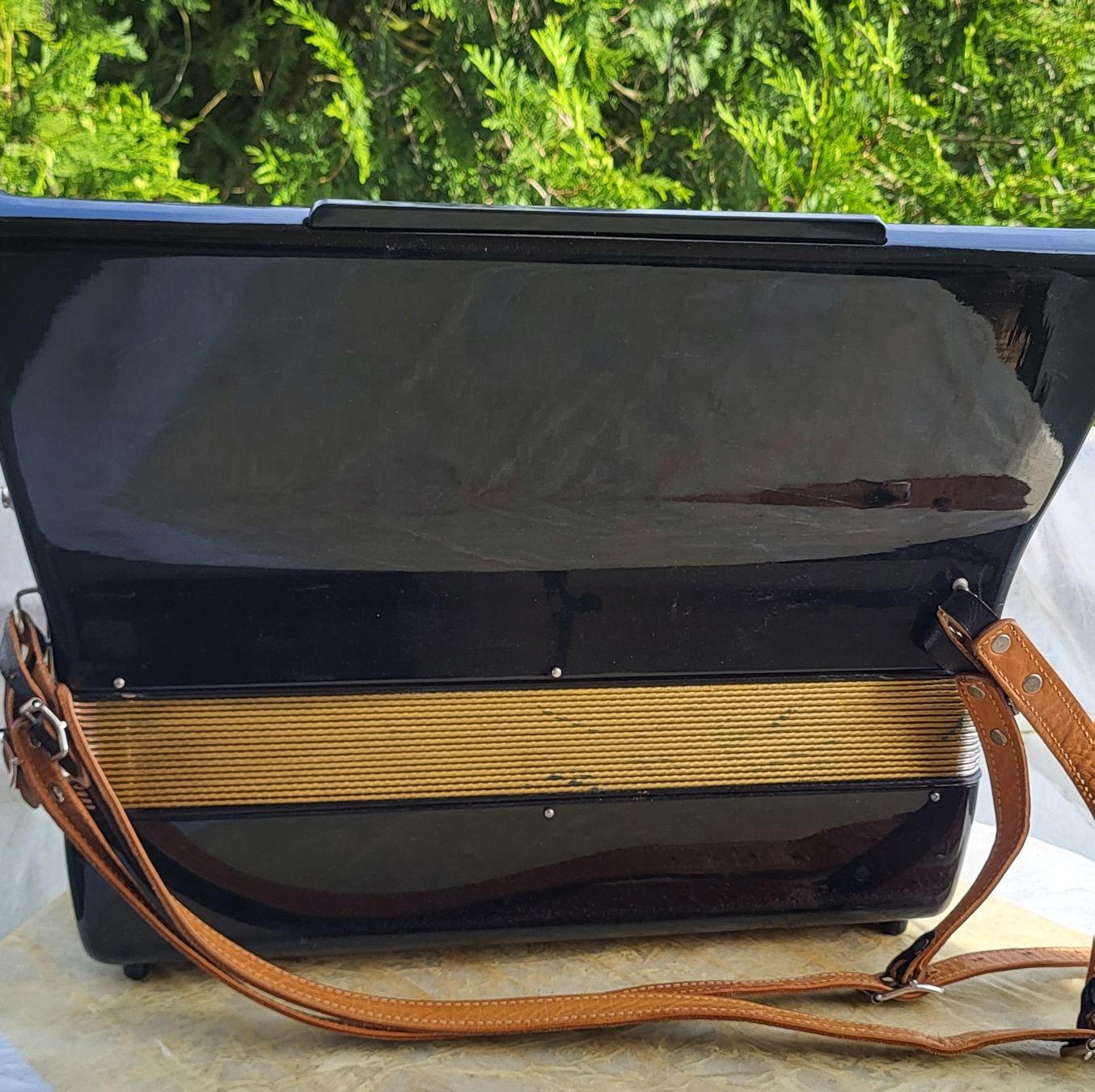 Strumenti musicali: Accordéon hohner Verdi III  – Usato da Penthalaz venduto da EvandroLuz 3