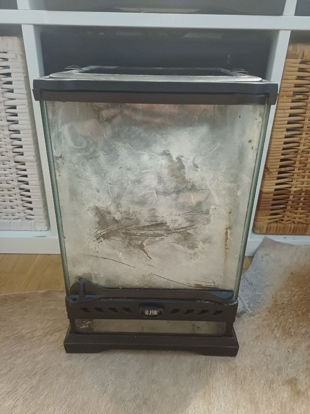 Terrario: Exo Terra Terrarium 20x20x30 – Usato da Thalwil venduto da Skorp96