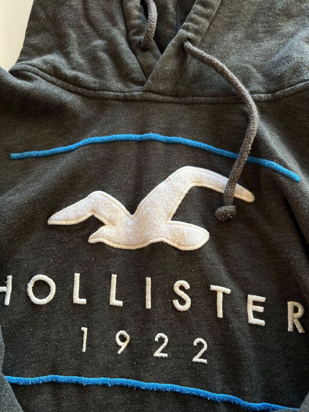 Hollister Maglioni & Felpe: Hollister Gray Hoodie / Pullover – Usato da Chexbres venduto da doe_xns6 3