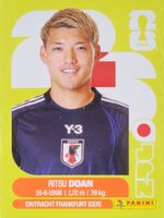 Panini FIFA World Cup JPN 14
