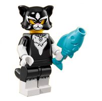 Lego Minifigures (Minifiguren) Serie 18