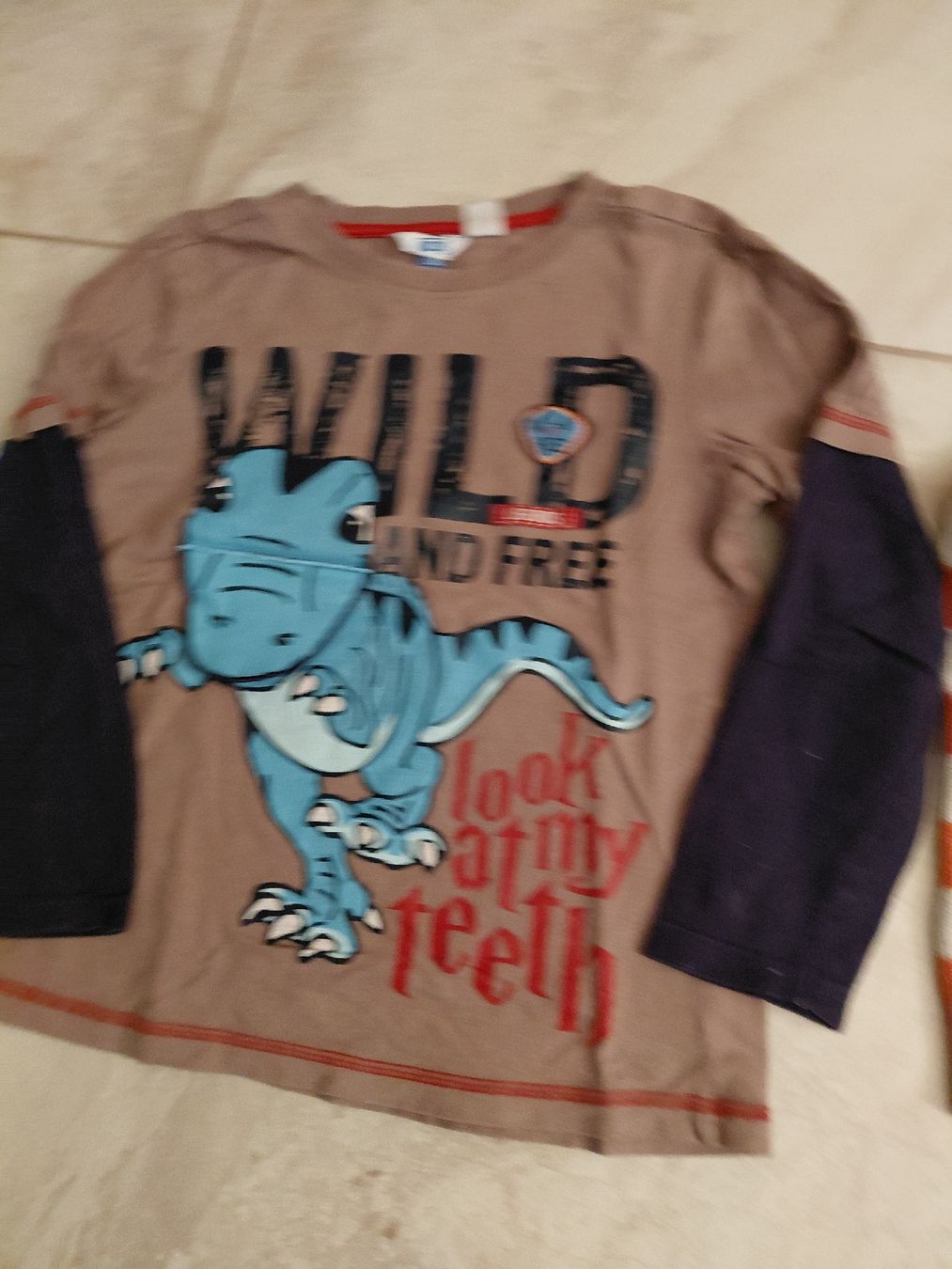 Lotti & Set di vestiti: Knaben Pullover und  Tshirt – Usato da Grenchen venduto da fabai 1