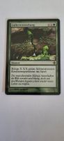 MTG - Gallertentstehung