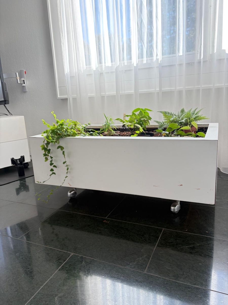 Vasi per fiori: Moderne Blumenkrippe mit eckiger Kupferwanne  – Usato da Wettingen venduto da gio_d29c 1