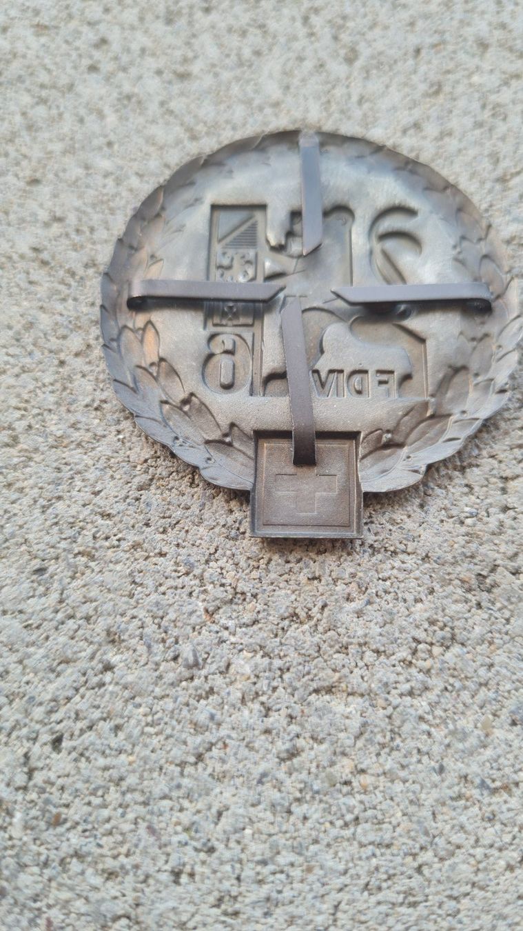Medaglie: CH Armee / Béret / Emblem / Felddivision 6 / Béretemblem – Usato da Safenwil venduto da Husqi2000 7
