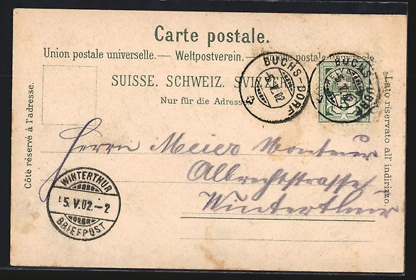 Cartoline postali: Lithographie Buchs, Schloss Werdenberg – Usato da Berlin venduto da bartko-reher 1