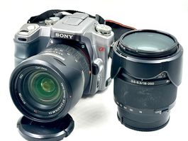 Sony A100 + Zeiss Sony DZ 16-80mm Vario-Sonnar ZA + 18-250mm