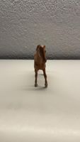 Cheval en bon état 
