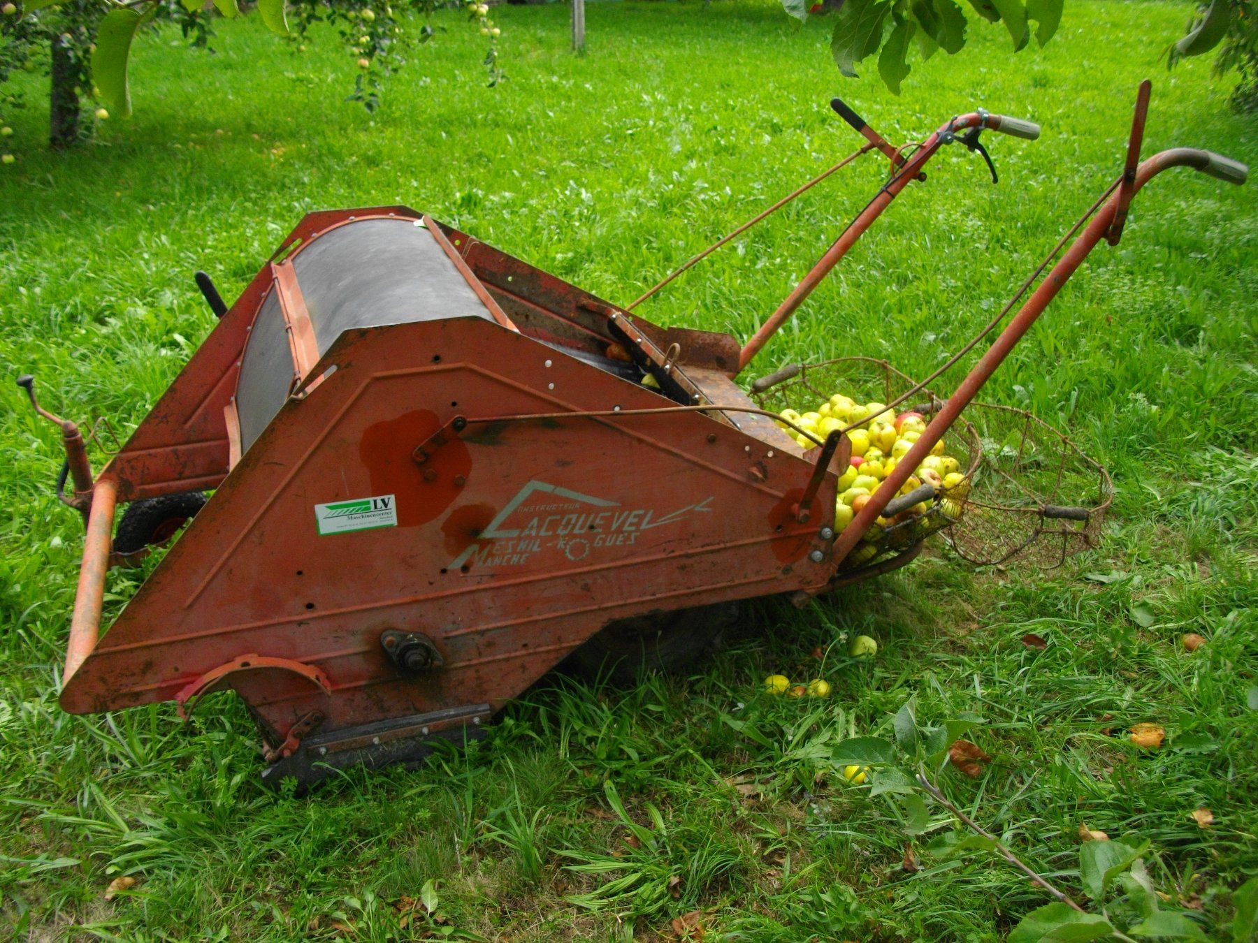 Tutte le macchine: Obstauflesemaschine – Usato da Oetwil am See venduto da Luna519 3