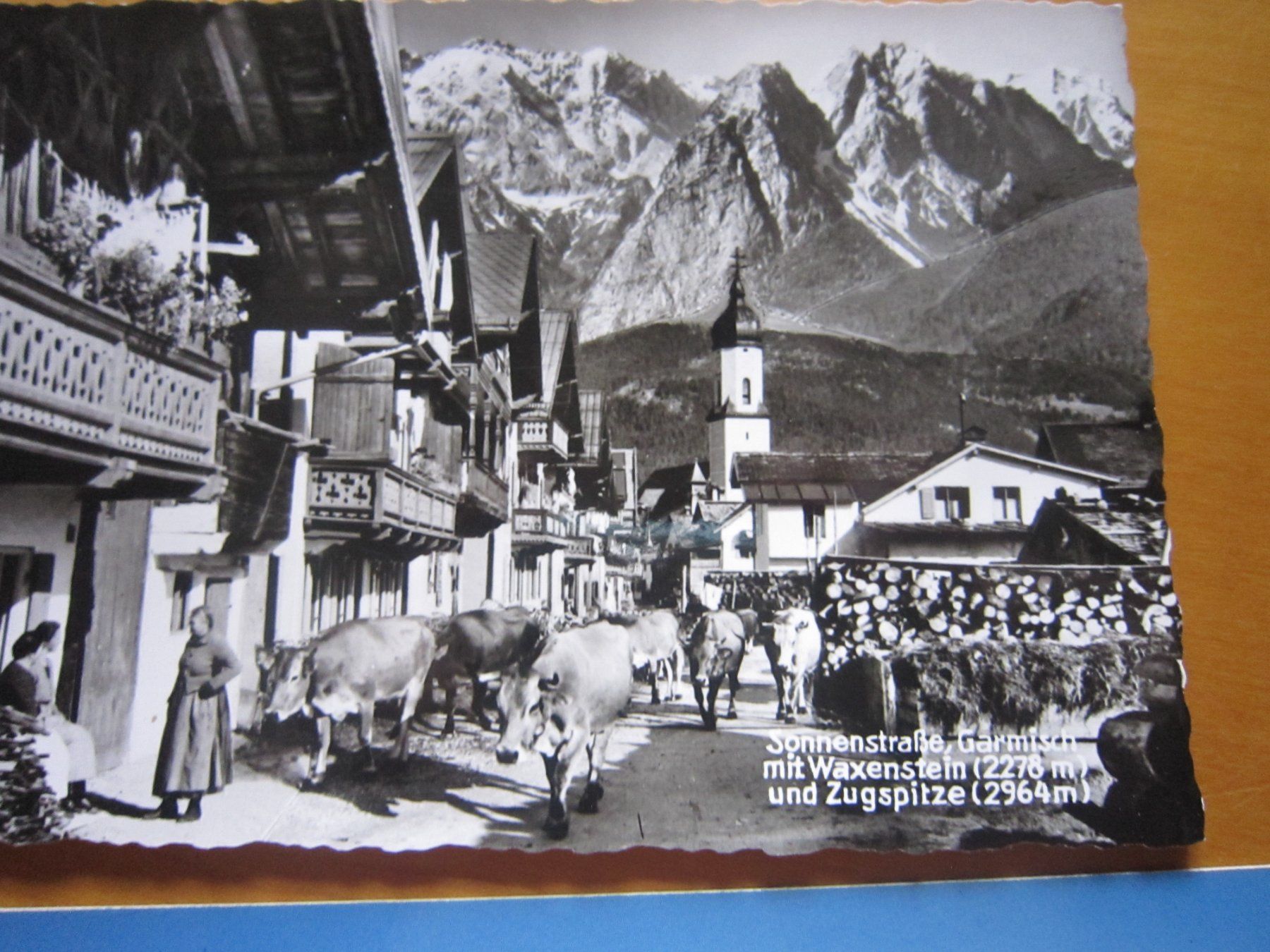 Cartoline postali: No 17 schöne Postkarten Kühen – Usato da Gordola venduto da Polentaefung 1