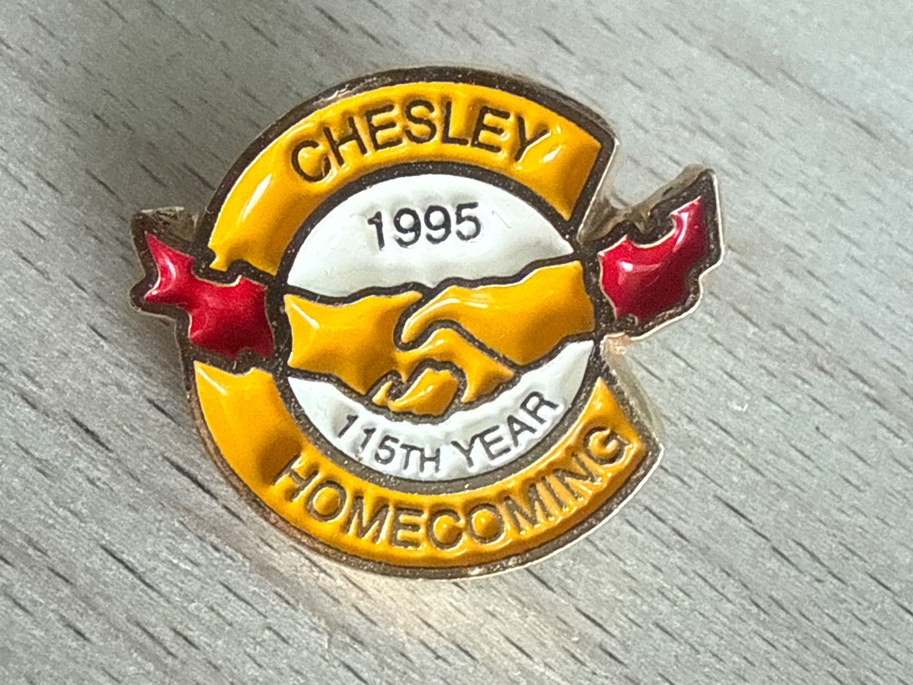 Placchette & Badge: Pin Chesley Homecoming 1995 115th Year – Usato da Glattbrugg venduto da Schweigmatt