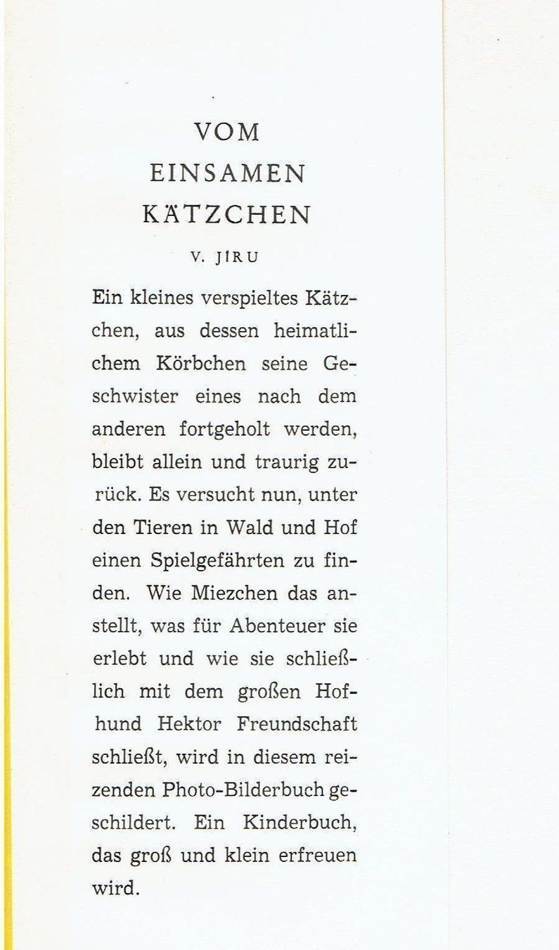 Bücher: Vom einsamen Kätzchen – Gebraucht aus Flims - Dorf von Stagediver 1