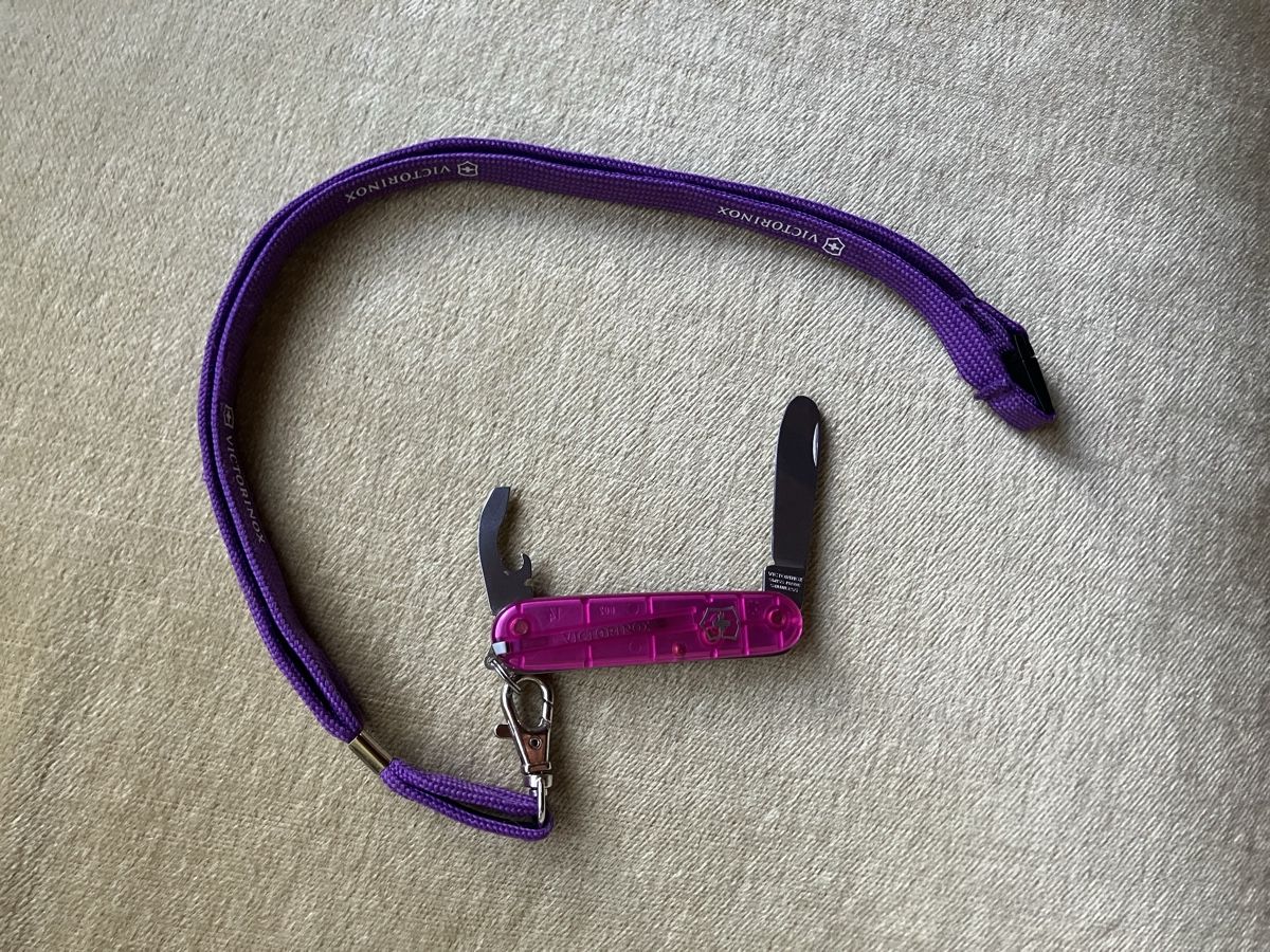 Victorinox Coltelli tascabile: Kinder Sackmesser Victorinox – Usato da Guggisberg venduto da marimaru 2