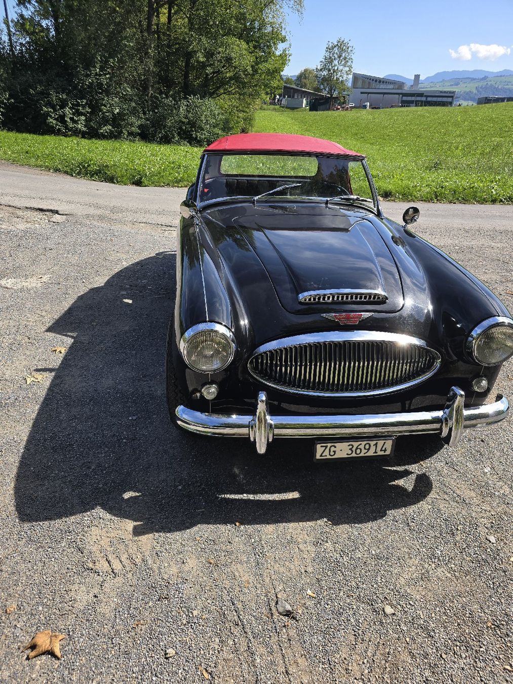 Austin-Healey Autos: Austin HEALEY 3000 MK2  – Gebraucht aus Baar von Sgogh 1