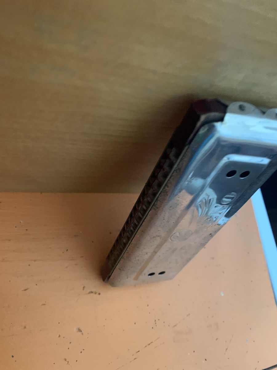 Strumenti musicali: Mundharmonika – Usato da Brugg AG venduto da Simone92 3