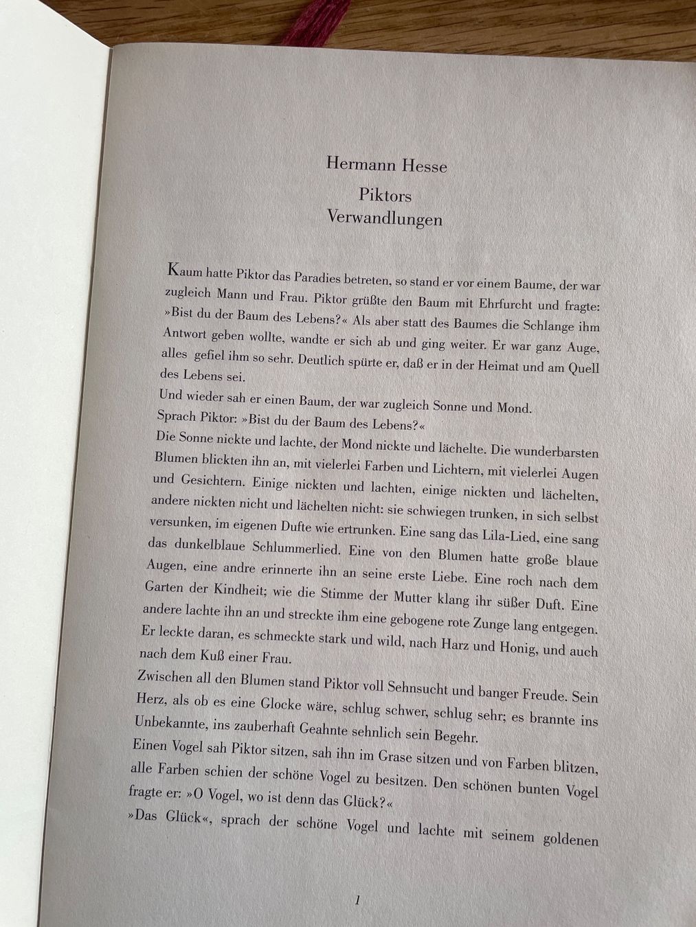 Libri: Hermann Hesse, Piktor’s  Verwandlungen – Usato da Freidorf TG venduto da ibipatria 3