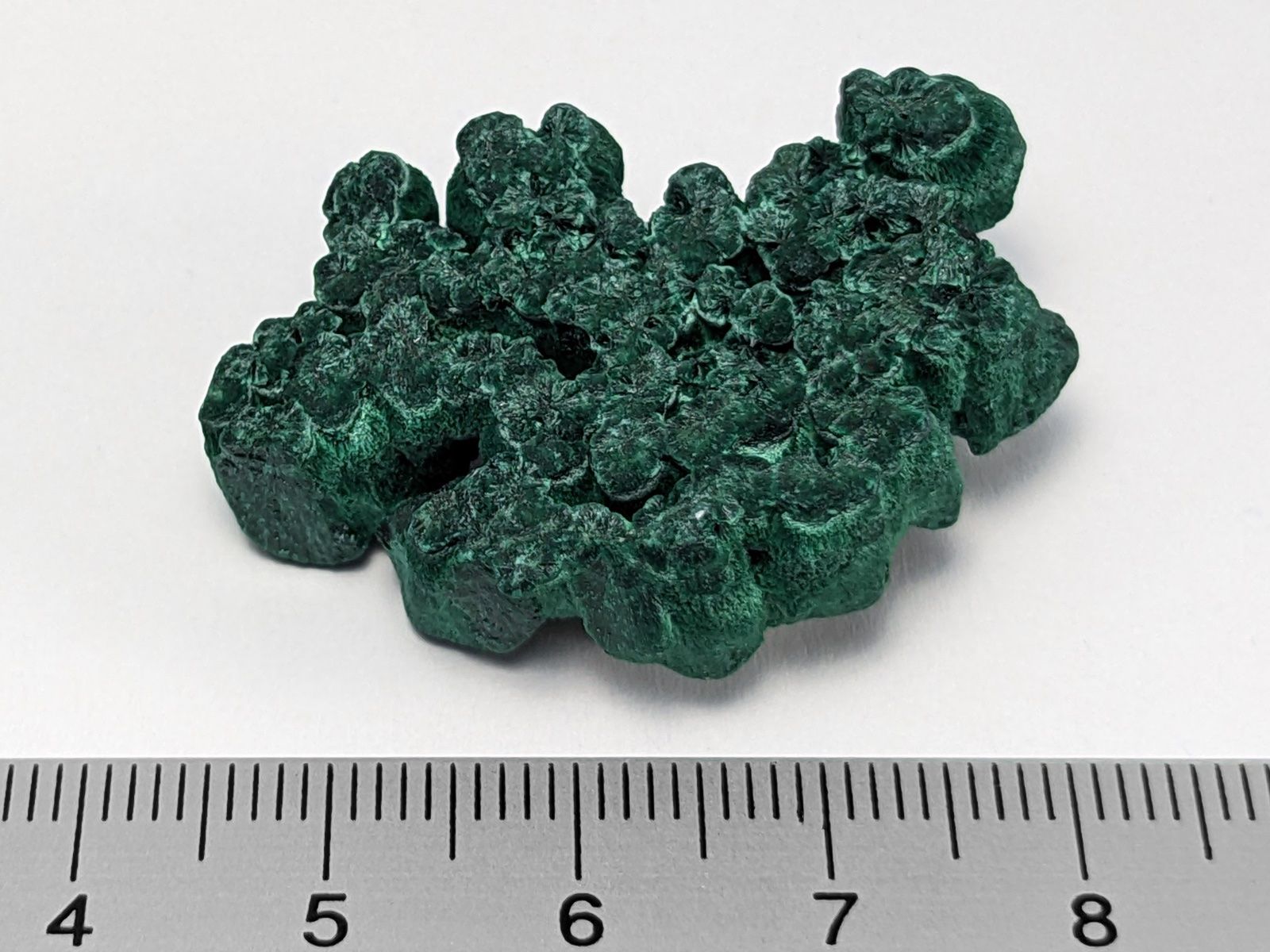 Minerali & Pietre curative: Malachit Rohstein/Faser Malachit 3,7cm – Nuovo e nell'imballaggio originale da Meilen venduto da StoneGarden 1