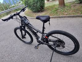 Trek Powerfly E-Bike gebrauchter Zustand