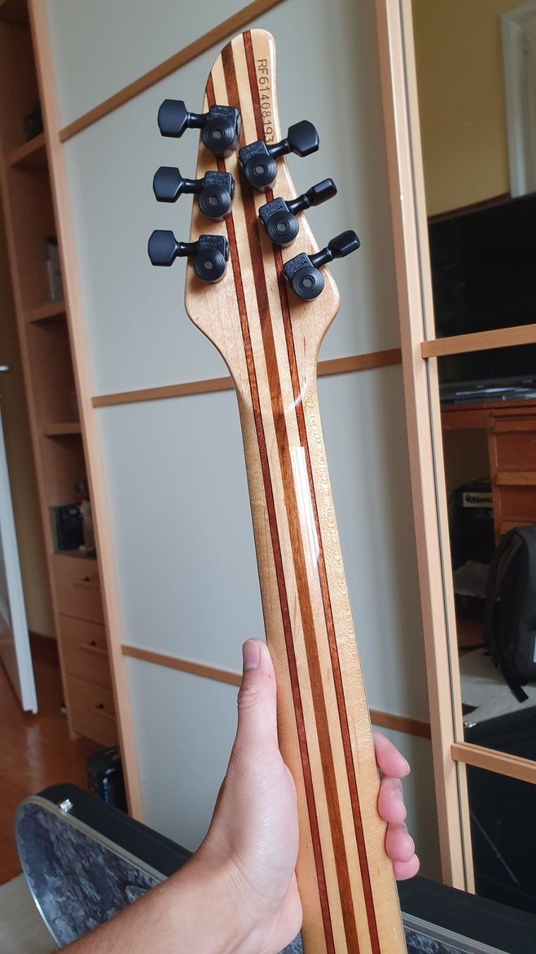 Strumenti musicali: Mayones Regius 6 Custom Shop – Usato da Fribourg venduto da wis_7b6y 5