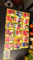 Panini Football  Collection 19 players