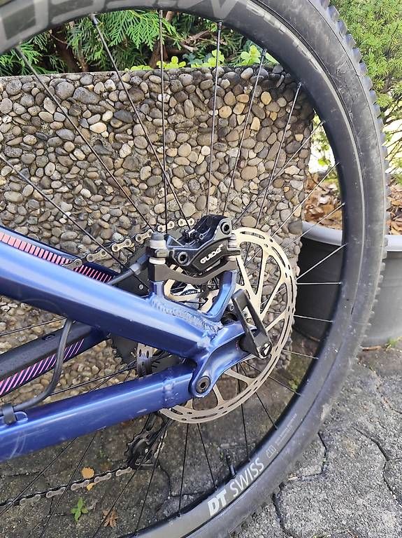 Canyon Biciclette: MTB Canyon Spectral WMN AL 8.0 EX – Usato da Sachseln venduto da jas_ch 4