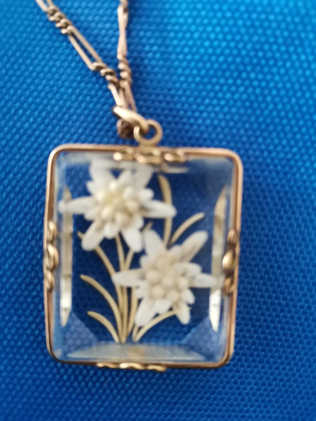 Edelweiss Anhänger: Echte Edelweissanhänger sehr schön eingefasst – Neu (gemäss Beschreibung) aus Seuzach von Tritis01
