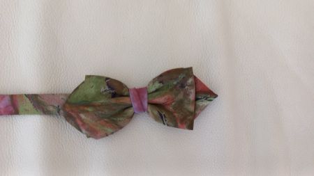 Schöne Papillon Fliege