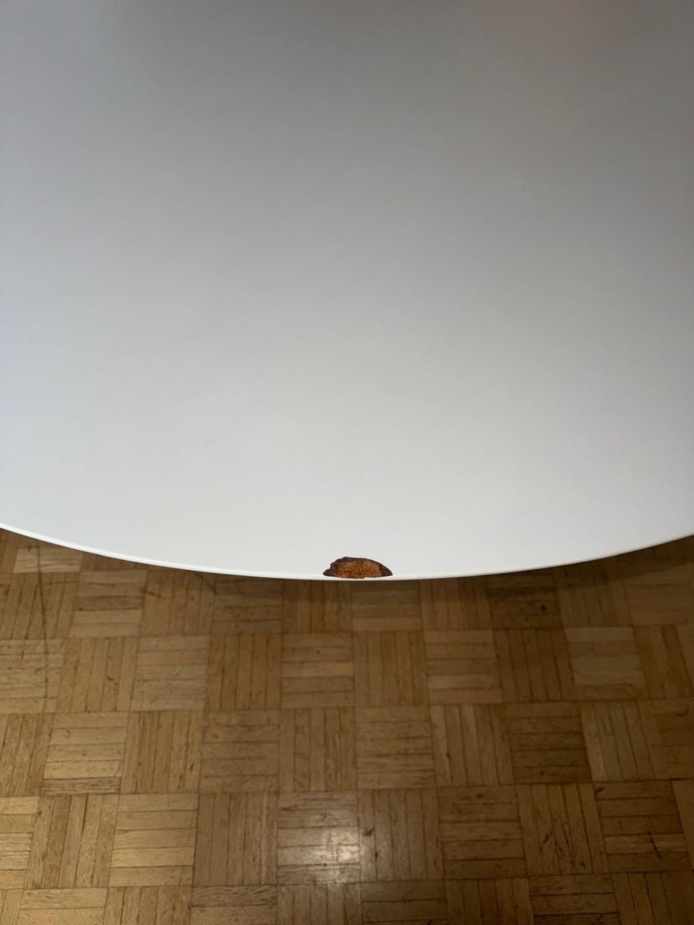 Tulip Tavoli: Tulip dining table – Usato da Zürich venduto da omni64 5