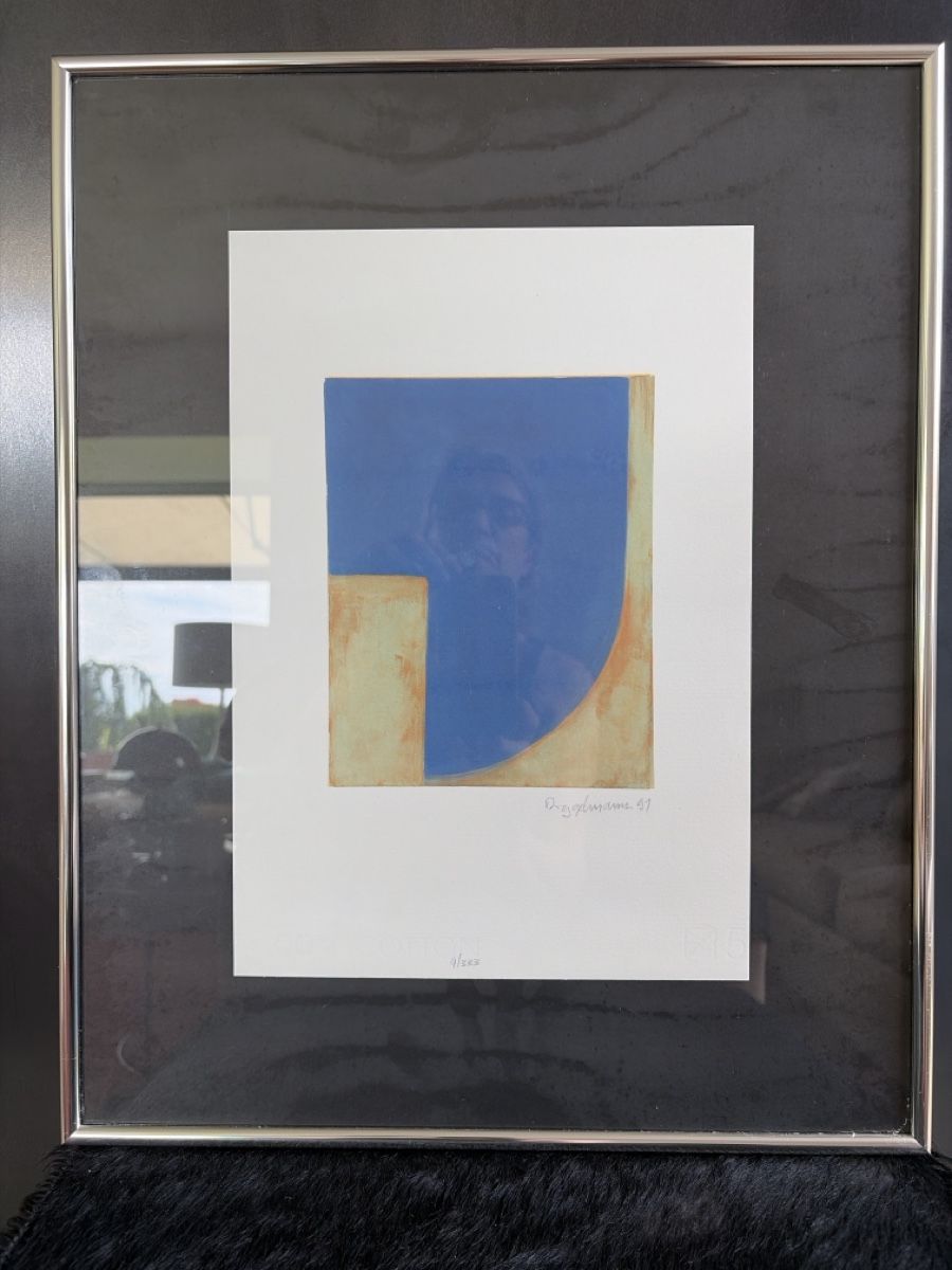 Grafica & Litografie: Litho Daniel Diggelmann 1991 4/333 schön gerahmt  – Usato da Uitikon Waldegg venduto da Kebo01
