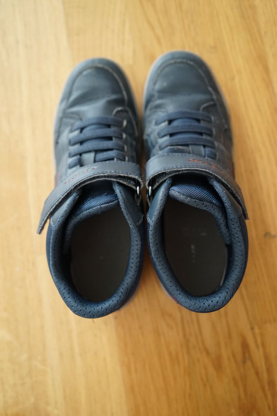 Geox Schuhe für Jungen: Geox Sneaker Junge Gr. 37 – Gebraucht aus Baar von snollub 3