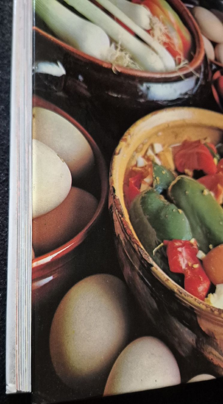 Libri: Kochbuch Italienisch Schuler – Usato da Adliswil venduto da cha_fq9f 2
