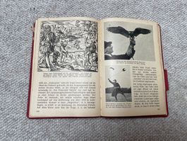 Pestalozzi Kalender von 1945
