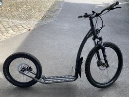 KOSTKA Dogscooter/Hundescooter – wenig gebraucht, Top-Zust.