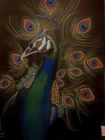 Magical peacock 
