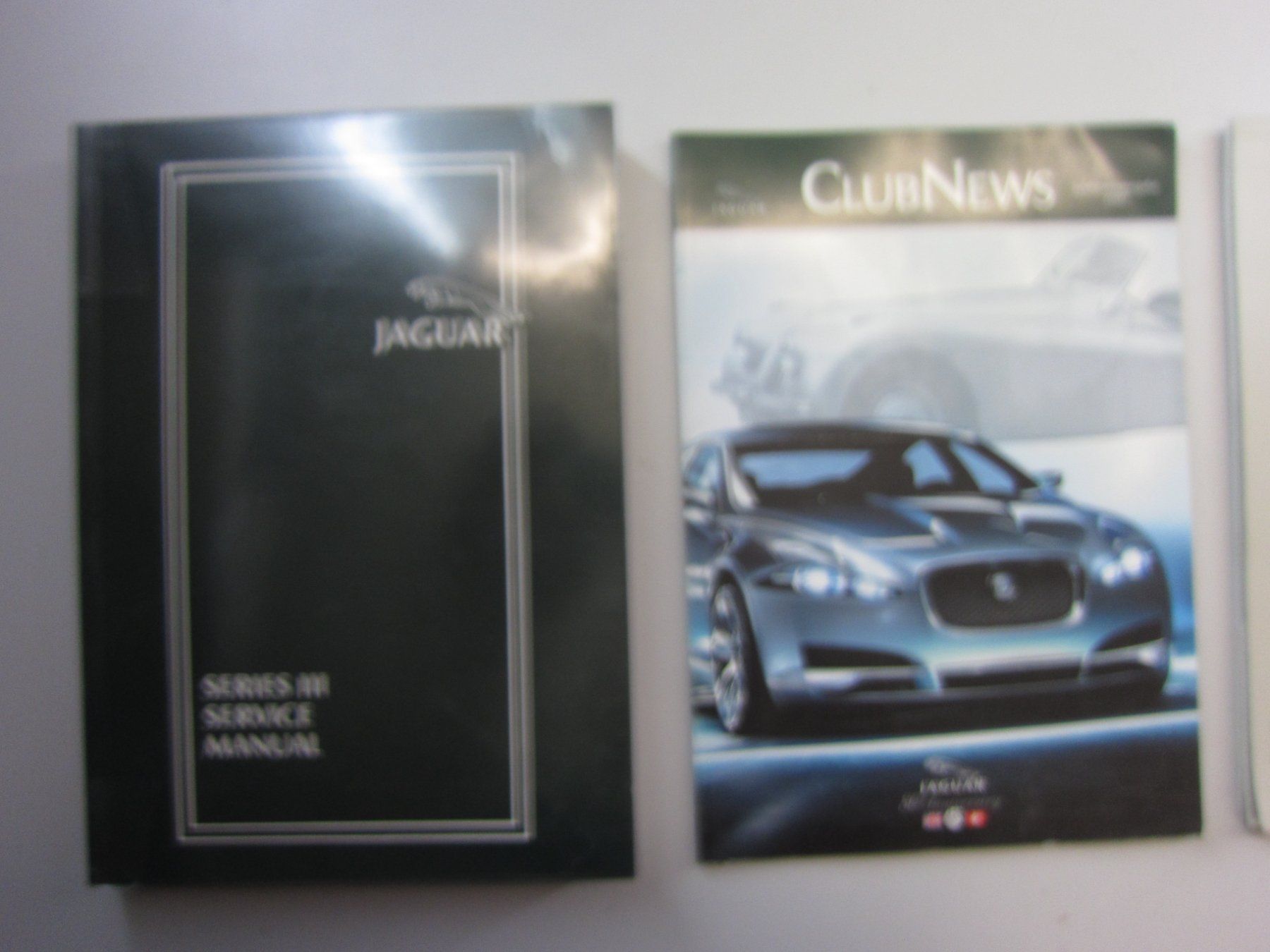 Libri: Jaguar Literatur – Usato da Kilchberg ZH venduto da Cuculus1 1