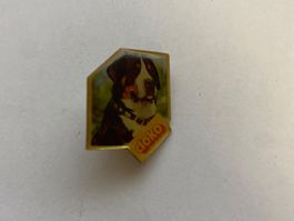 Pin's Doko chien bouvier bernois motif animalier doré